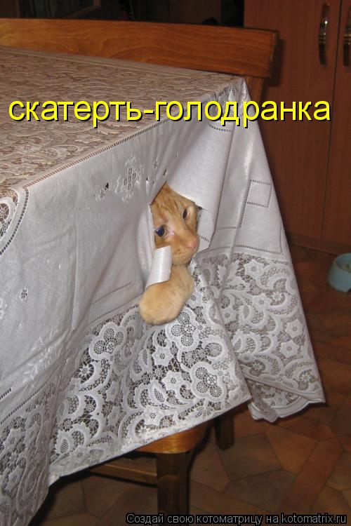 Котоматрица: скатерть-голодранка
