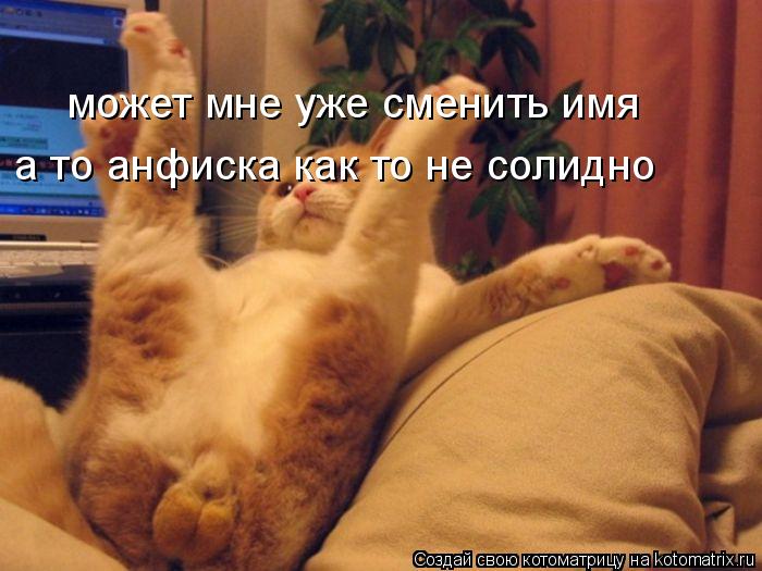 Котоматрица: может мне уже сменить имя а то анфиска как то не солидно
