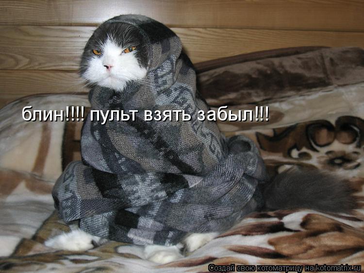 Котоматрица: блин!!!! пульт взять забыл!!!