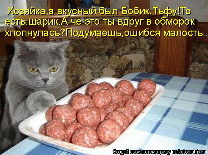 Котоматрица: Хозяйка,а вкусный был Бобик.Тьфу!То есть,шарик.А че это ты вдруг в обморок хлопнулась?Подумаешь,ошибся малость...