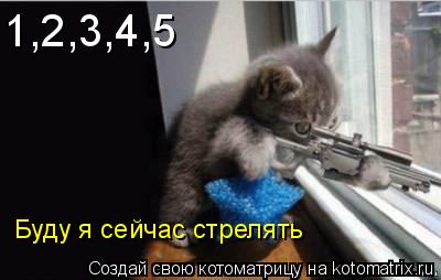 Котоматрица: 1,2,3,4,5  Буду я сейчас стрелять