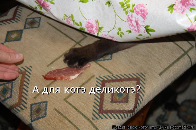 Котоматрица: А для котэ деликотэ?