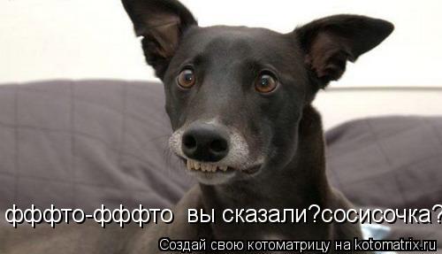 Котоматрица: фффто-фффто  вы сказали?сосисочка?!