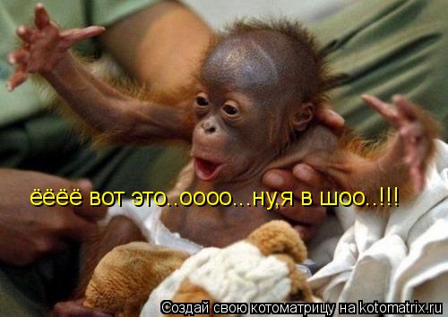 Котоматрица: ёёёё вот это..оооо...ну,я в шоо..!!!