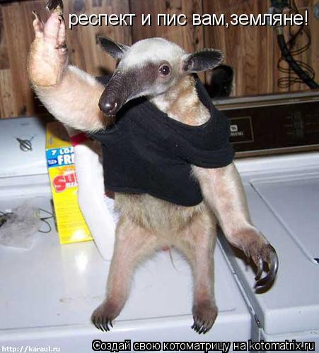Котоматрица: респект и пис вам,земляне!