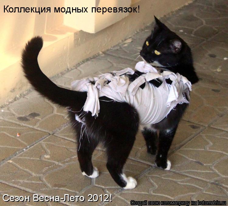 Котоматрица: Коллекция модных перевязок! Сезон Весна-Лето 2012!
