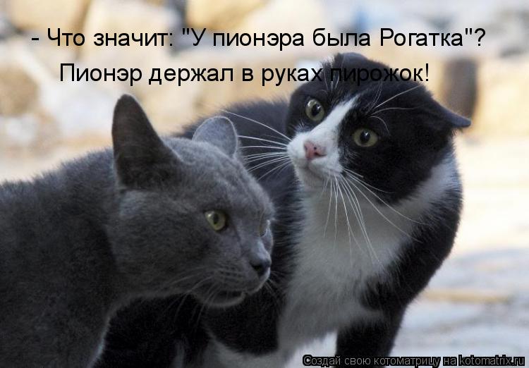 Котоматрица: - Что значит: "У пионэра была Рогатка"? Пионэр держал в руках пирожок!