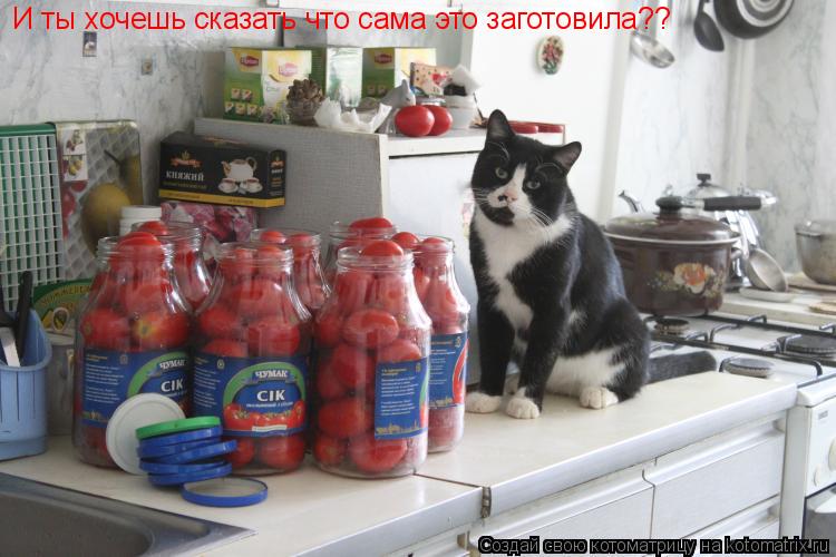 Котоматрица: И ты хочешь сказать что сама это заготовила??