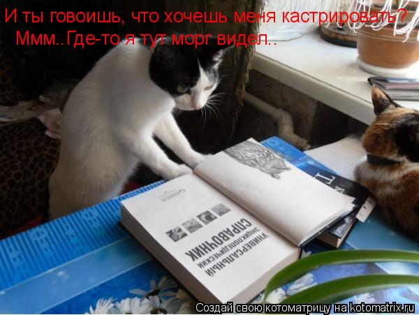 Котоматрица: И ты говоишь, что хочешь меня кастрировать? Ммм..Где-то я тут морг видел..