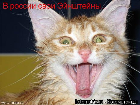 Котоматрица: В россии свои Эйнштейны..