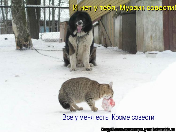 Котоматрица: -Всё у меня есть. Кроме совести! И нет у тебя, Мурзик совести!