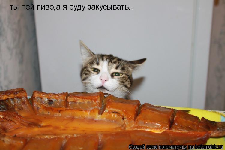 Котоматрица: ты пей пиво,а я буду закусывать...