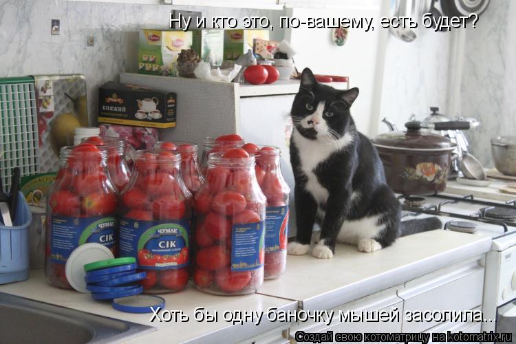 Котоматрица: Ну и кто это, по-вашему, есть будет? Хоть бы одну баночку мышей засолила...