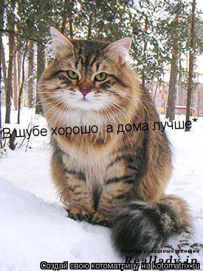 В шубе хорошо, а дома лучше*... Котоматрица: В шубе хорошо, а дома лучше*