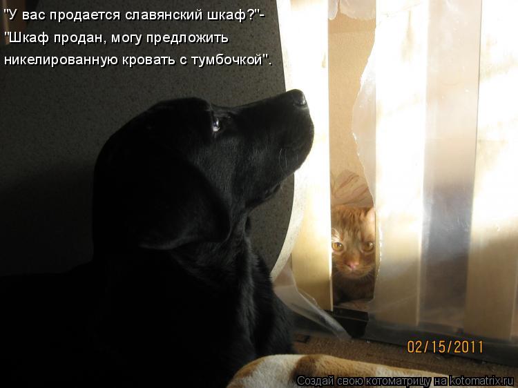 Котоматрица: "У вас продается славянский шкаф?"- "Шкаф продан, могу предложить никелированную кровать с тумбочкой".