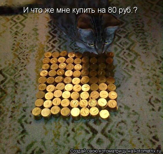 И что же мне купить на 80 руб.?... Котоматрица: И что же мне купить на 80 руб.?