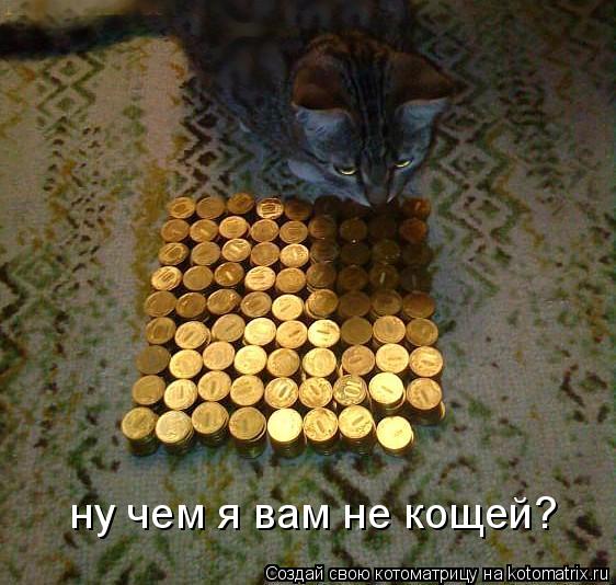 ну чем я вам не кощей?... Котоматрица: ну чем я вам не кощей?