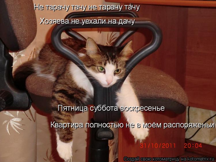 Не тарачу тачу не тарачу тачу Хозяева не уехали на дачу Пятница суббота воскресенье Квартира полность... Котоматрица: Не тарачу тачу не тарачу тачу Хозяева не уехали на дачу Пятница суббота воскресенье Квартира полностью не в моём распоряженьи