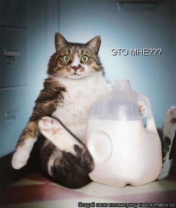 ЭТО МНЕ???... Котоматрица: ЭТО МНЕ???