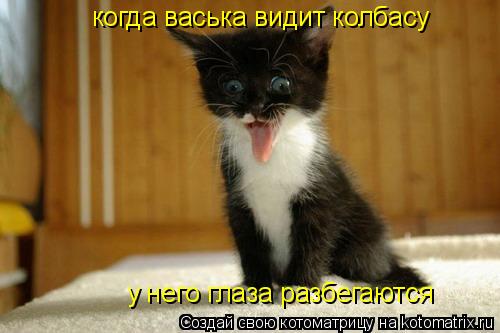 когда васька видит колбасу у него глаза разбегаются... Котоматрица: когда васька видит колбасу у него глаза разбегаются
