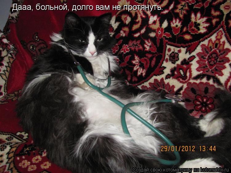 Дааа, больной, долго вам не протянуть.... Котоматрица: Дааа, больной, долго вам не протянуть.
