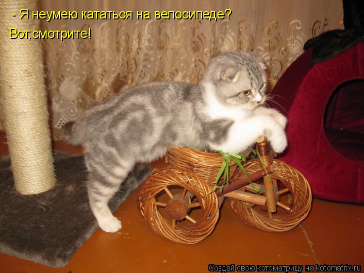 - Я неумею кататься на велосипеде? Вот,смотрите!... Котоматрица: - Я неумею кататься на велосипеде? Вот,смотрите!