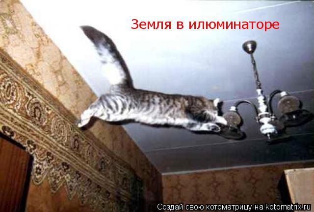Земля в илюминаторе... Котоматрица: Земля в илюминаторе
