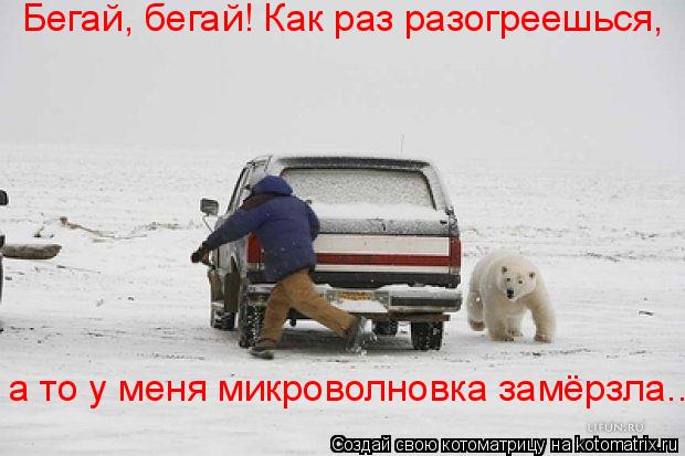 Котоматрица: Бегай, бегай! Как раз разогреешься, а то у меня микроволновка замёрзла...