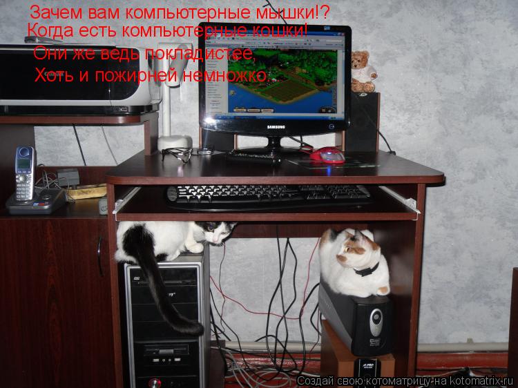 Котоматрица: Зачем вам компьютерные мышки!? Когда есть компьютерные кошки! Они же ведь покладистее, Хоть и пожирней немножко...