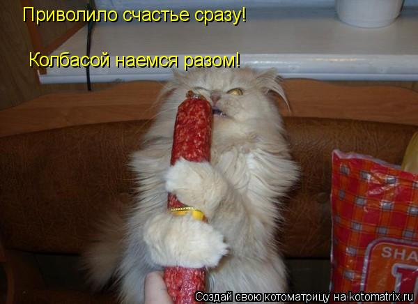 Котоматрица: Приволило счастье сразу! Колбасой наемся разом!