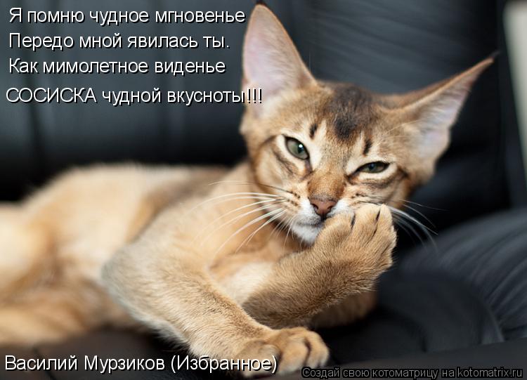 Котоматрица: Василий Мурзиков (Избранное) Я помню чудное мгновенье Передо мной явилась ты. Как мимолетное виденье СОСИСКА чудной вкусноты!!!