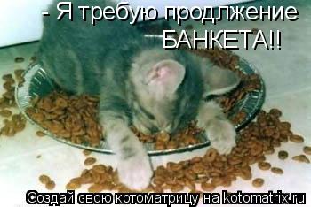 Котоматрица: - Я требую продлжение БАНКЕТА!!