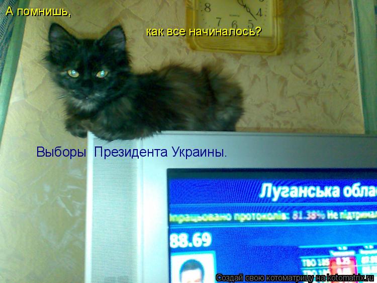 Котоматрица: А помнишь, как все начиналось? Выборы  Президента Украины.