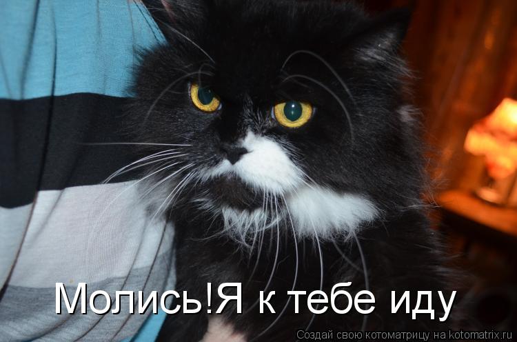 Котоматрица: Молись!Я к тебе иду