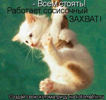 - Всем стоять! Работает сосисочный ЗАХВАТ!... Котоматрица: - Всем стоять! Работает сосисочный ЗАХВАТ!