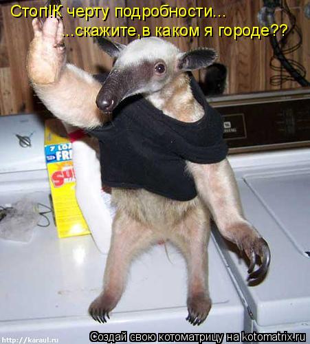 Стоп!К черту подробности... ...скажите,в каком я городе??... Котоматрица: Стоп!К черту подробности... ...скажите,в каком я городе??