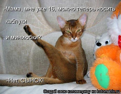 -Мама, мне уже 16, можно теперь носить каблуки и миниюбки? -Нет, СЫНОК!... Котоматрица: -Мама, мне уже 16, можно теперь носить каблуки и миниюбки? -Нет, СЫНОК!