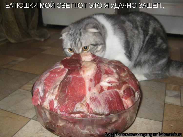 БАТЮШКИ МОЙ СВЕТ!!ОТ ЭТО Я УДАЧНО ЗАШЕЛ..... Котоматрица: БАТЮШКИ МОЙ СВЕТ!!ОТ ЭТО Я УДАЧНО ЗАШЕЛ..