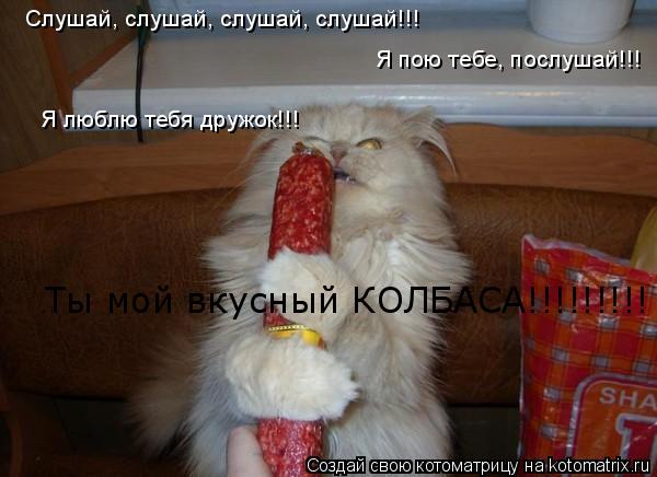 Котоматрица: Слушай, слушай, слушай, слушай!!! Я пою тебе, послушай!!! Я люблю тебя дружок!!! Ты мой вкусный КОЛБАСА!!!!!!!!!