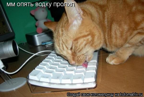 Котоматрица: мм опять водку пролил