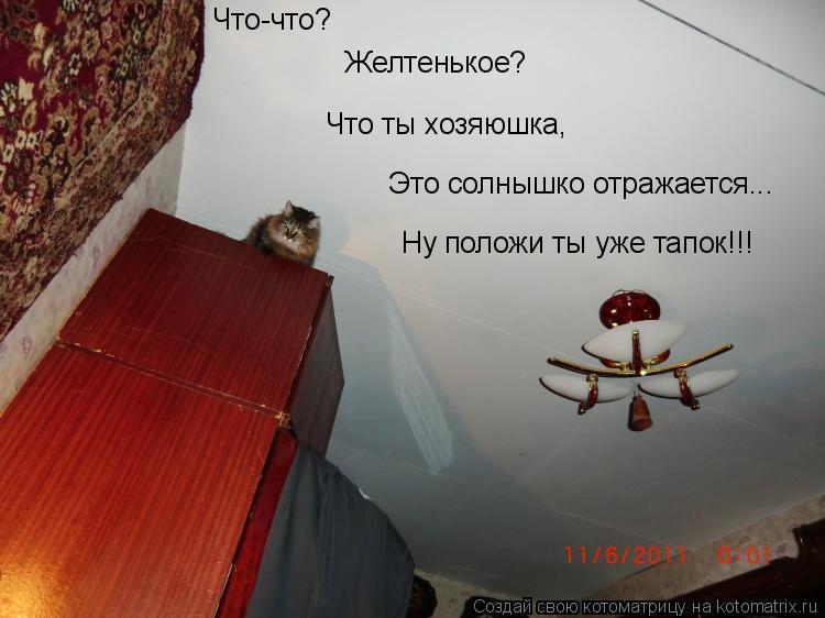 Котоматрица: Что-что? Желтенькое? Что ты хозяюшка, Это солнышко отражается... Ну положи ты уже тапок!!!