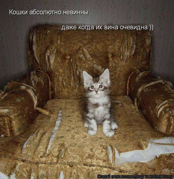 Котоматрица: Кошки абсолютно невинны.. ..даже когда их вина очевидна ))