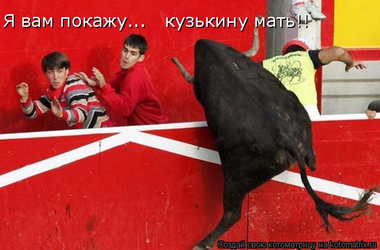 Котоматрица: Я вам покажу...   кузькину мать!!