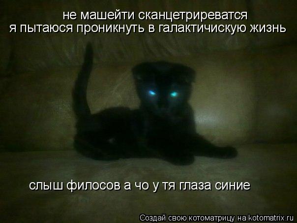 Котоматрица: не машейти сканцетриреватся я пытаюся проникнуть в галактичискую жизнь слыш филосов а чо у тя глаза синие