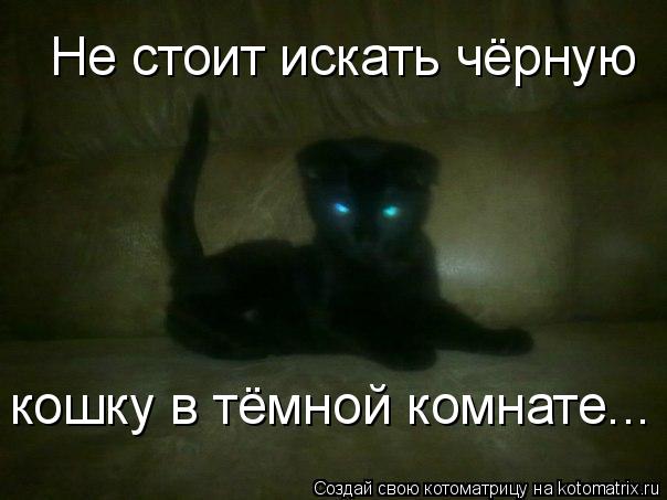 Котоматрица: Не стоит искать чёрную кошку в тёмной комнате...
