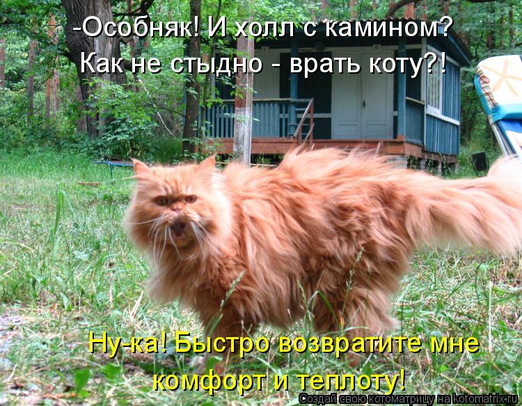 -Особняк! И холл с камином? Как не стыдно - врать коту?! Ну-ка! Быстро возвратите мне комфорт и тепло... Котоматрица: -Особняк! И холл с камином? Как не стыдно - врать коту?! Ну-ка! Быстро возвратите мне комфорт и теплоту!