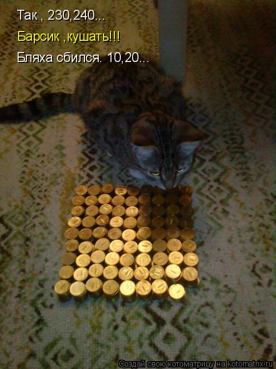Котоматрица: Так , 230,240... Барсик ,кушать!!! Бляха сбился. 10,20...