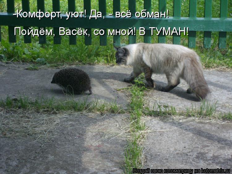 -Комфорт, уют! Да, - всё обман! Пойдём, Васёк, со мной! В ТУМАН!... Котоматрица: -Комфорт, уют! Да, - всё обман! Пойдём, Васёк, со мной! В ТУМАН!