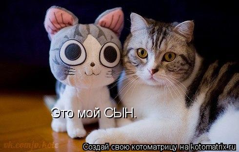 Котоматрица: Это мой СЫН.