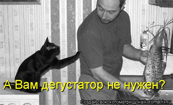 Котоматрица: А Вам дегустатор не нужен?